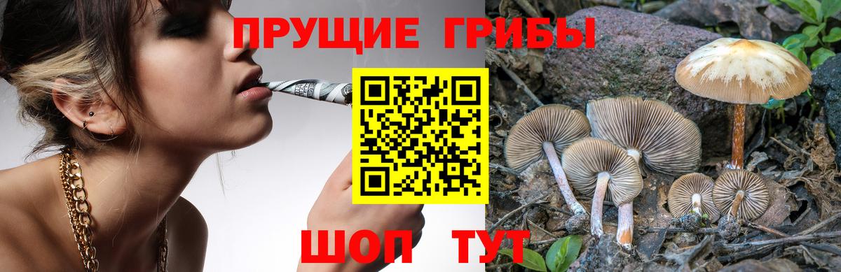 Галлюциногенные грибы мухоморы Прохладный
